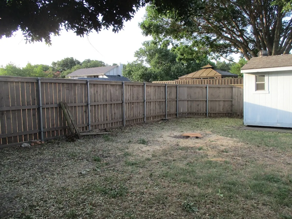 Cleared yard after professional tree removal in Camp Murray